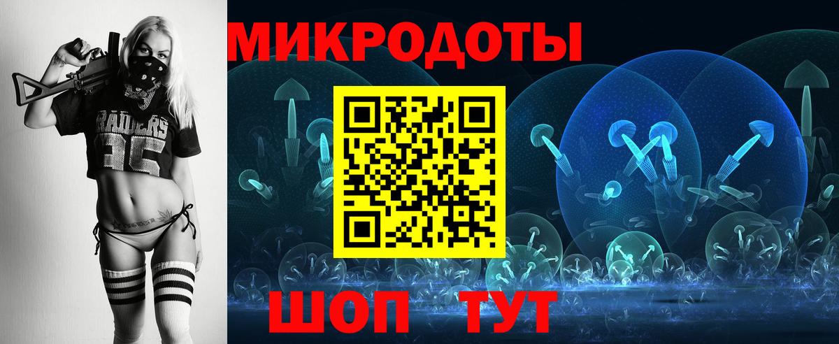Галлюциногенные грибы Psilocybine cubensis  Вход с VPN  Апатиты  Галлюциногенные грибы мицелий 